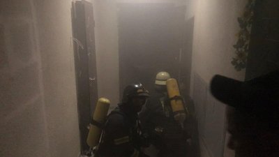 Під час пожежі у спальному районі Одеси врятували домашніх тварин Під час пожежі у спальному районі Одеси врятували домашніх тварин