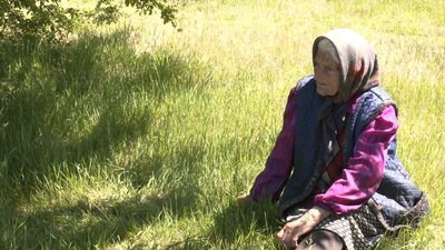 У поліському селі на Волині зареєстровані вісім людей, а дістатися сюди можна лише човном: як живуть в Боровному У поліському селі на Волині зареєстровані вісім людей, а дістатися сюди можна лише човном: як живуть в Боровному