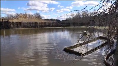 У Борівському ґрунтові води затопили подвір'я