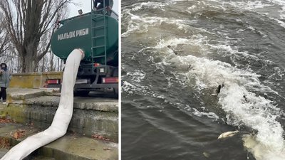 Зарибили Кременчуцьке водосховище