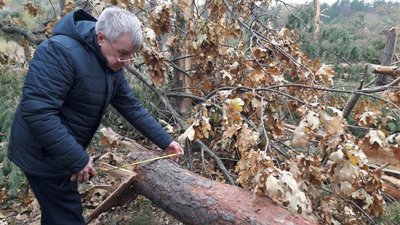Комісія рахувала збитки, завдані лісопарковій зоні буревієм у Кропивницькому Комісія рахувала збитки, завдані лісопарковій зоні буревієм у Кропивницькому