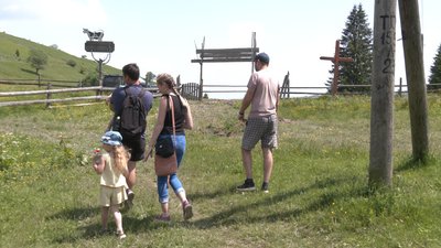 Бізнес на висоті. Як відкриття ринку землі впливає на прикарпатські полонини Бізнес на висоті. Як відкриття ринку землі впливає на прикарпатські полонини