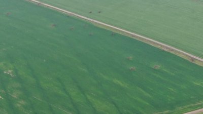 Постраждала озимина в полях. Мешканці прикордонних сіл на Сумщині прокинулись від обстрілів Постраждала озимина в полях. Мешканці прикордонних сіл на Сумщині прокинулись від обстрілів