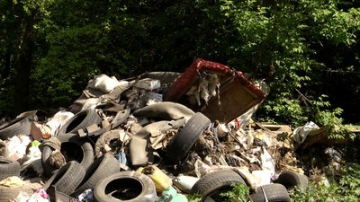 Не довозять до полігону: в Житомирі вздовж дороги утворилися стихійні сміттєзвалища Не довозять до полігону: в Житомирі вздовж дороги утворилися стихійні сміттєзвалища