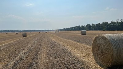Аграрії не продають зерно