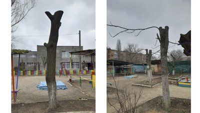 У Кропивницькій міськраді заздалегідь оприлюднюватимуть списки дерев, які обрізатимуть У Кропивницькій міськраді заздалегідь оприлюднюватимуть списки дерев, які обрізатимуть