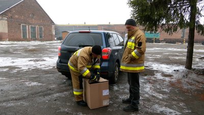 Лебедя з Німецького озера відвезли до Галицького природного парку Лебедя з Німецького озера відвезли до Галицького природного парку