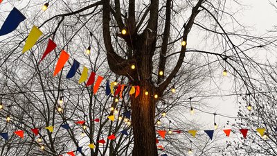 Зміни в графіку відключень світла для Кіровоградщини на 11 лютого