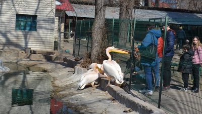В Одесі відкрився зоопарк. ФОТО В Одесі відкрився зоопарк. ФОТО