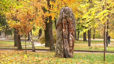 У Житомирі у Шодуарівському парку культури та відпочинку знесуть сім дерев'яних скульптур У Житомирі у Шодуарівському парку культури та відпочинку знесуть сім дерев'яних скульптур