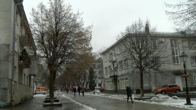 У центрі Луцька розпочали кронування дерев. Частину цьогоріч планують зрізати