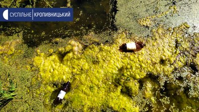 У воді в районі набережної річки Інгул біля спортивної школи плаває мертва риба, у рясці й очереті – порожні скляні та пластикові пляшки