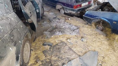 Пограбували сільгосппідприємство на Херсонщині: прокуратура зафіксувала воєнні злочини РФ