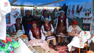 На Житомирщині провели "Подушка Fest" На Житомирщині провели "Подушка Fest"