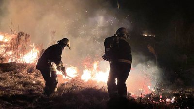 Горіла суха трава, загоряння сухої трави на Волині