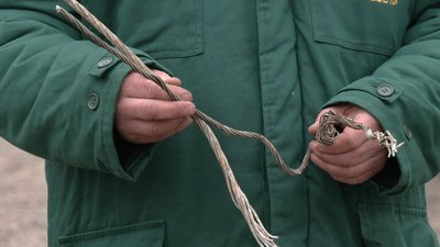 На Рівненщині лелекам роблять "безпечні гнізда". Навіщо вони потрібні На Рівненщині лелекам роблять "безпечні гнізда". Навіщо вони потрібні