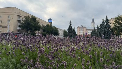 погода, липень, прогноз погоди на липень, природа, синоптики
