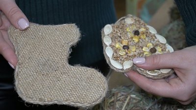 У Тернополі учні обласного екоцентру створили ялинку-годівничку