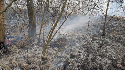 За тиждень на Дніпропетровщині сталося більше 500 пожеж в екосистемах