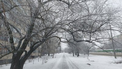 На Сумщині прогнозують підвищення температури повітря та мокрий сніг