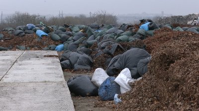 Компостування листя Компостування листя
