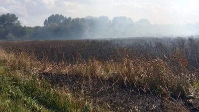 На Полтавщині на місці пожежі знайшли труп, ще в одній травмувався чоловік На Полтавщині на місці пожежі знайшли труп, ще в одній травмувався чоловік