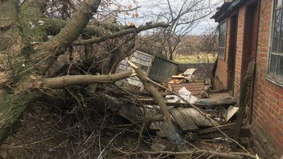 Негода на Харківщині: жінка загинула внаслідок падіння дерева