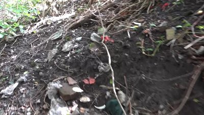 У Житомирі оголосили тендер на прибирання схилів поблизу вулиці Басейної У Житомирі оголосили тендер на прибирання схилів поблизу вулиці Басейної