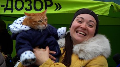 Перший соціалізований кіт в Україні: житомирський кіт Міккі потрапив до Книги рекордів Перший соціалізований кіт в Україні: житомирський кіт Міккі потрапив до Книги рекордів