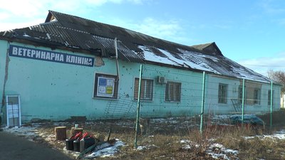 Скоротити кількість тварин гуманним способом. У деокупованому Лимані вакцинують та стерилізують котів та собак Скоротити кількість тварин гуманним способом. У деокупованому Лимані вакцинують та стерилізують котів та собак