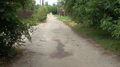 Хто відповідальний за безпритульних тварин у Запоріжжі Хто відповідальний за безпритульних тварин у Запоріжжі
