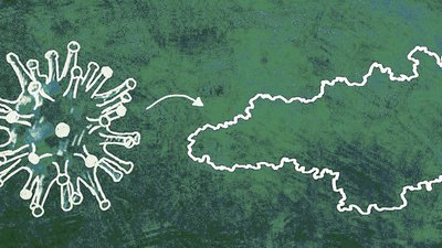 COVID -19 на Кіровоградщині. 14 людей захворіли, 8 одужали, 3 померли