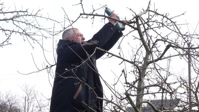 "Садок — це моє задоволення": історія садівника Віталія Чата з Рівненщини