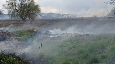 Біля Тернополя горить очерет та суха трава