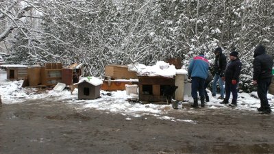 На Херсонщині у притулку для тварин волонтери провели суботник На Херсонщині у притулку для тварин волонтери провели суботник