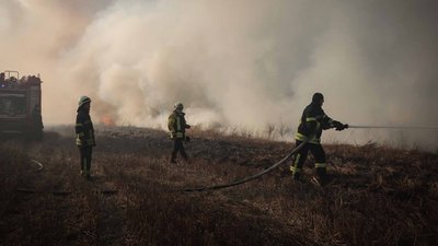 Пожежа в екосистемі
