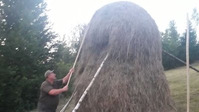Єгерські служби держлісгоспів Прикарпаття заготовляють кормову базу для диких тварин