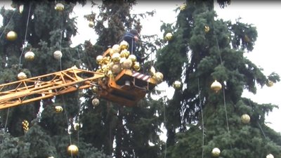 У Луцьку розпочали прикрашати три центральні ялинки У Луцьку розпочали прикрашати три центральні ялинки