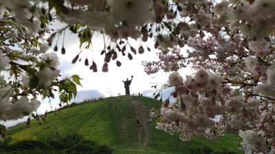 сакури черкаси