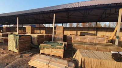 "Кришування вирубки лісу": на Харківщині обшукували поліцейських "Кришування вирубки лісу": на Харківщині обшукували поліцейських