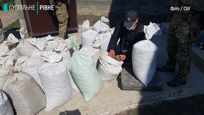 У Рівному СБУ вилучила понад пів тонни бурштину