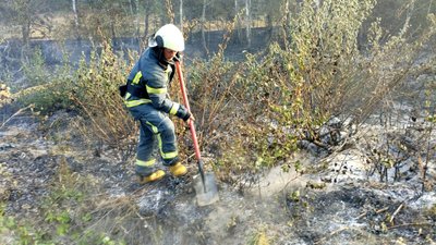 Горить суха трава, пожежа сухої трави