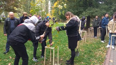 У Луцьку родини загиблих військових висадили 50 іменних кленів У Луцьку родини загиблих військових висадили 50 іменних кленів