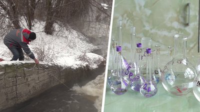 Загибель качок на річці Уди у Харкові: воду перевірять