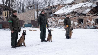 "В кожної свій характер": як у Харкові тренують собак, які служитимуть у Нацгвардії "В кожної свій характер": як у Харкові тренують собак, які служитимуть у Нацгвардії
