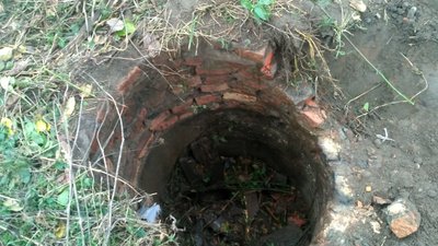 На Львівщині рятувальники із місцевими витягнули із вигрібної ями коня На Львівщині рятувальники із місцевими витягнули із вигрібної ями коня