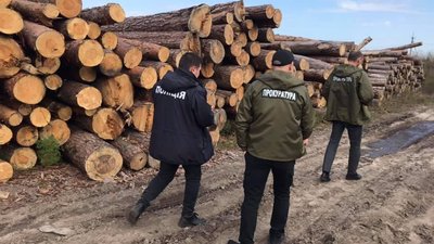 Під час обшуків на Волині правоохоронці вилучили понад 700 м. куб. деревини без документів