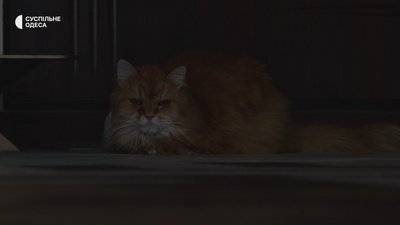 Пішки на 22 поверх, мити голову при свічках: як одесити пристосувалися до відключення світла Пішки на 22 поверх, мити голову при свічках: як одесити пристосувалися до відключення світла