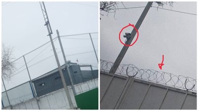 Огорожа російської бази у Маріуполі