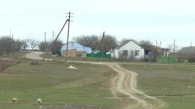 Пташиний грип. На Миколаївщині знищили майже тисячу крилатих Пташиний грип. На Миколаївщині знищили майже тисячу крилатих